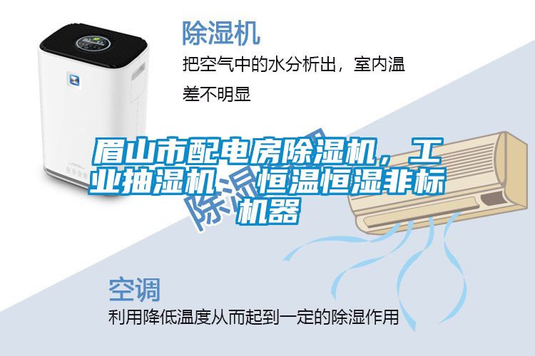 眉山市配電房除濕機(jī)，工業(yè)抽濕機(jī)  恒溫恒濕非標(biāo)機(jī)器