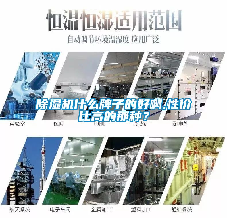 除濕機(jī)什么牌子的好啊,性價(jià)比高的那種？