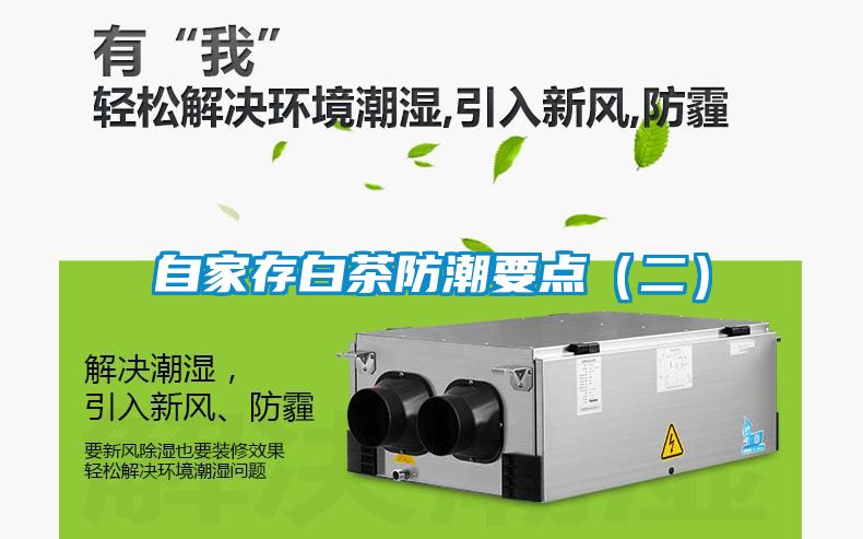 自家存白茶防潮要點(diǎn)（二）