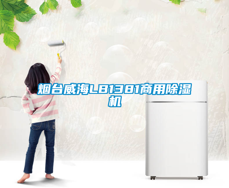 煙臺(tái)威海LB1381商用除濕機(jī)