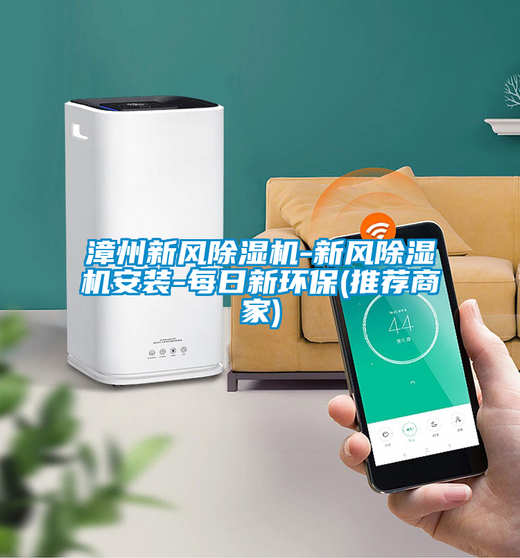 漳州新風(fēng)除濕機-新風(fēng)除濕機安裝-每日新環(huán)保(推薦商家)