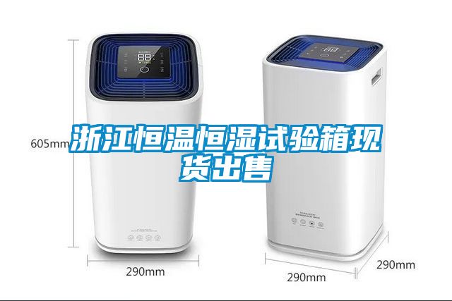 浙江恒溫恒濕試驗箱現(xiàn)貨出售