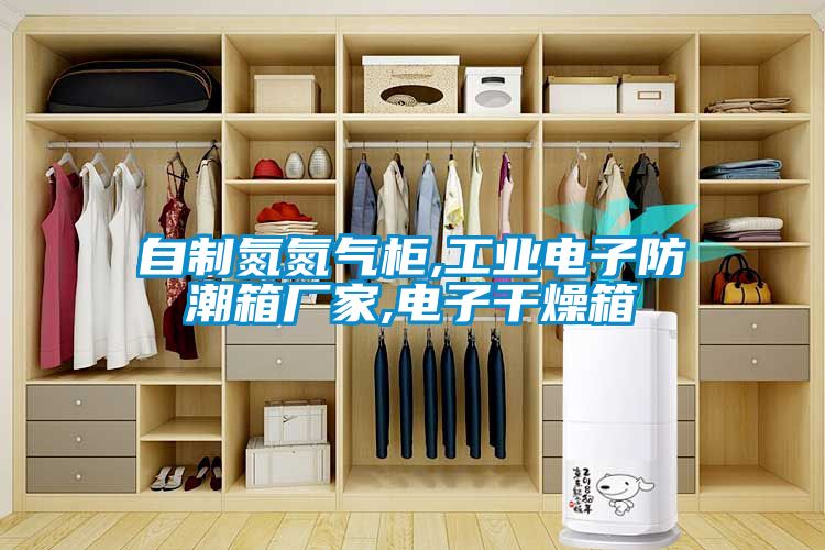 自制氮氮?dú)夤?工業(yè)電子防潮箱廠家,電子干燥箱