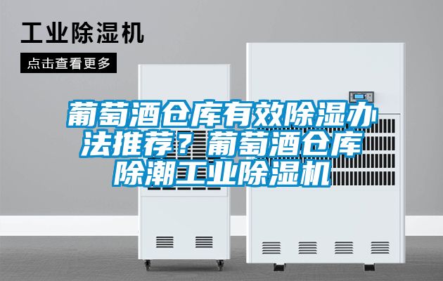 葡萄酒倉(cāng)庫(kù)有效除濕辦法推薦？葡萄酒倉(cāng)庫(kù)除潮工業(yè)除濕機(jī)