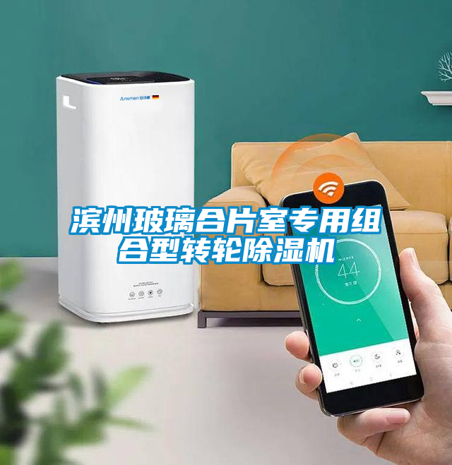 濱州玻璃合片室專用組合型轉(zhuǎn)輪除濕機
