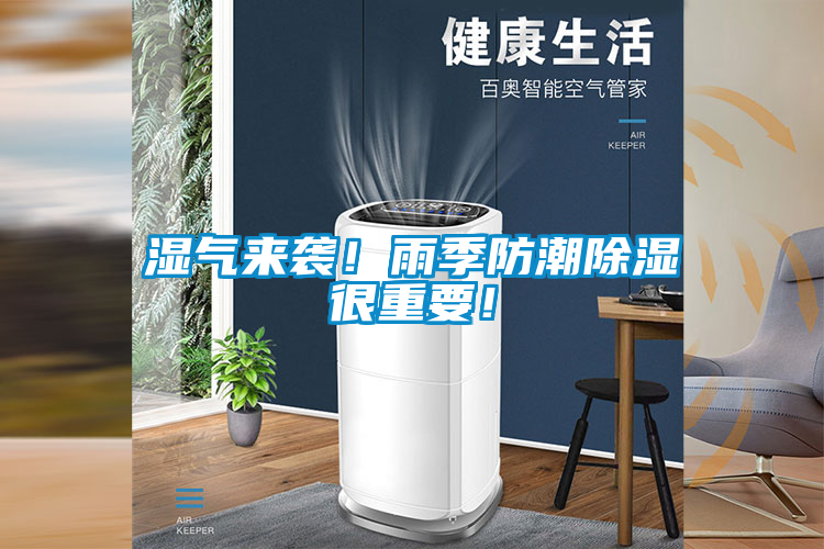 濕氣來襲！雨季防潮除濕很重要！