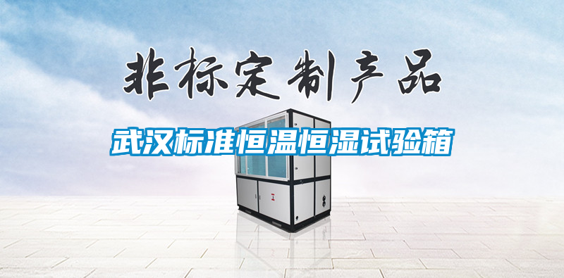 武漢標(biāo)準(zhǔn)恒溫恒濕試驗(yàn)箱