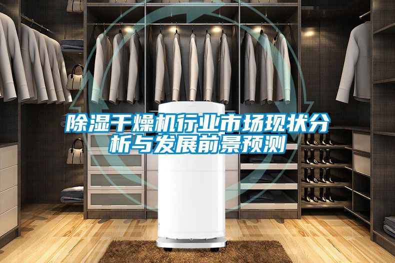 除濕干燥機行業(yè)市場現(xiàn)狀分析與發(fā)展前景預(yù)測