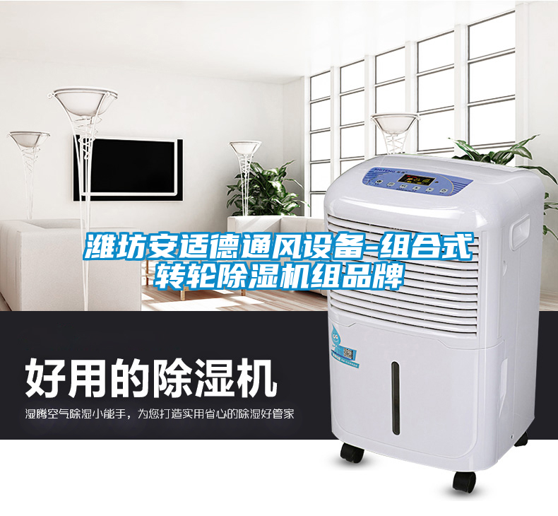 濰坊安適德通風(fēng)設(shè)備-組合式轉(zhuǎn)輪除濕機組品牌