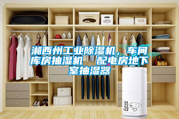 湘西州工業(yè)除濕機，車間庫房抽濕機  配電房地下室抽濕器