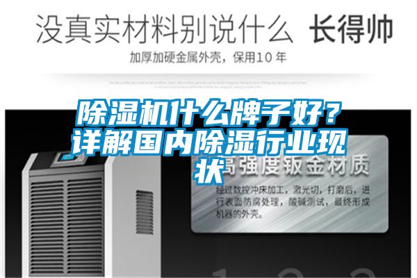 除濕機(jī)什么牌子好？詳解國(guó)內(nèi)除濕行業(yè)現(xiàn)狀