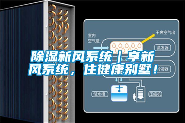 除濕新風(fēng)系統(tǒng)｜享新風(fēng)系統(tǒng)，住健康別墅！
