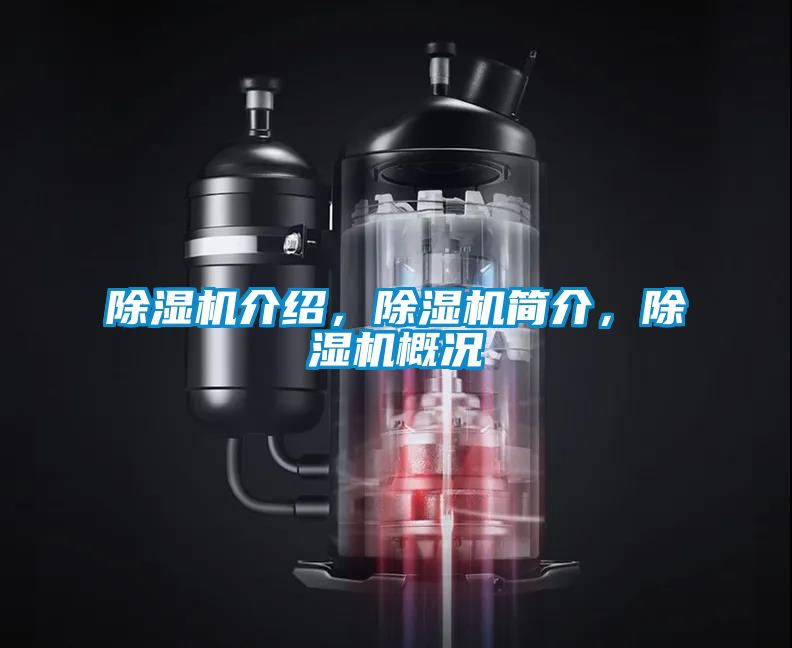 除濕機介紹，除濕機簡介，除濕機概況