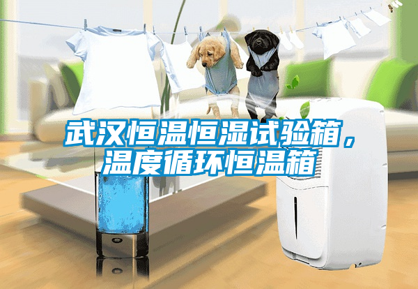 武漢恒溫恒濕試驗(yàn)箱，溫度循環(huán)恒溫箱