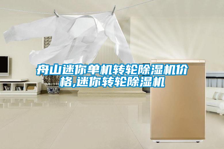 舟山迷你單機轉(zhuǎn)輪除濕機價格,迷你轉(zhuǎn)輪除濕機
