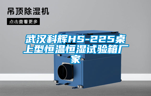 武漢科輝HS-225桌上型恒溫恒濕試驗箱廠家