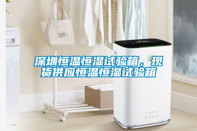 深圳恒溫恒濕試驗(yàn)箱，現(xiàn)貨供應(yīng)恒溫恒濕試驗(yàn)箱