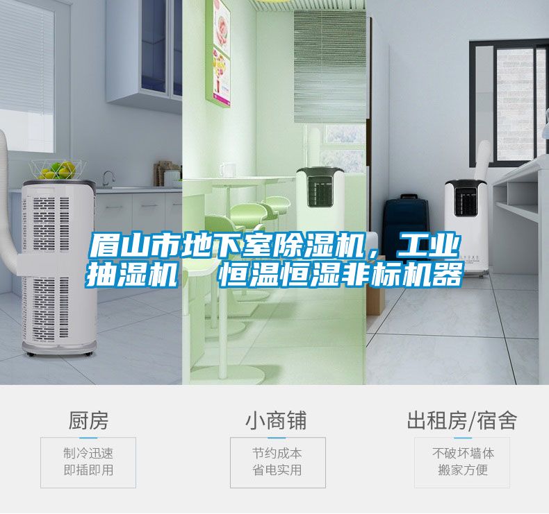 眉山市地下室除濕機，工業(yè)抽濕機  恒溫恒濕非標(biāo)機器