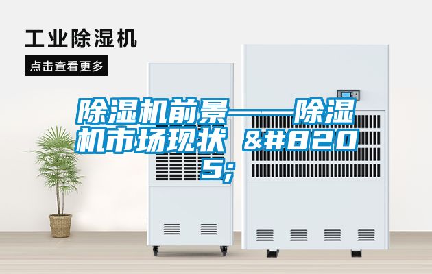 除濕機(jī)前景——除濕機(jī)市場現(xiàn)狀‍‍