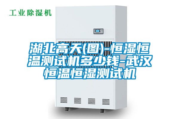 湖北高天(圖)-恒濕恒溫測(cè)試機(jī)多少錢-武漢恒溫恒濕測(cè)試機(jī)