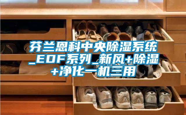 芬蘭恩科中央除濕系統(tǒng)_EDF系列_新風(fēng)+除濕+凈化一機三用
