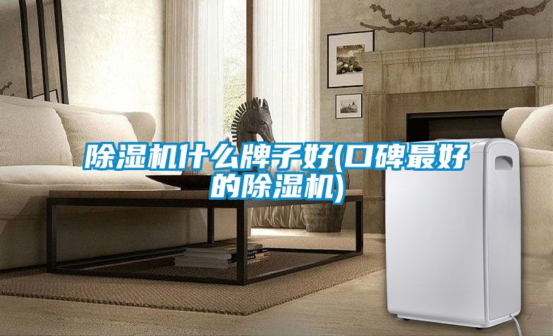 除濕機什么牌子好(口碑最好的除濕機)