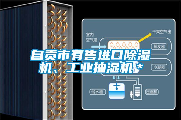 自貢市有售進(jìn)口除濕機(jī)、工業(yè)抽濕機(jī)＊