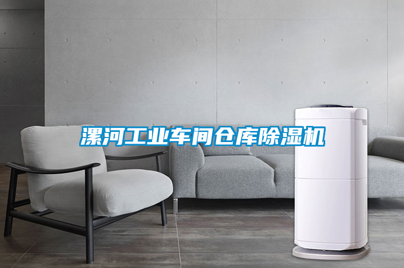 漯河工業(yè)車間倉庫除濕機
