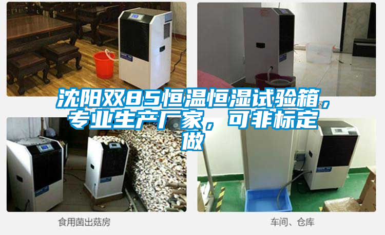 沈陽雙85恒溫恒濕試驗箱，專業(yè)生產(chǎn)廠家，可非標定做