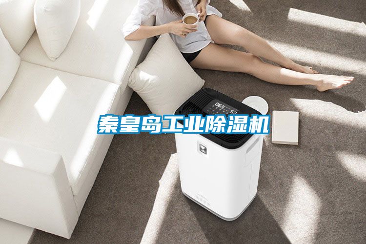 秦皇島工業(yè)除濕機(jī)