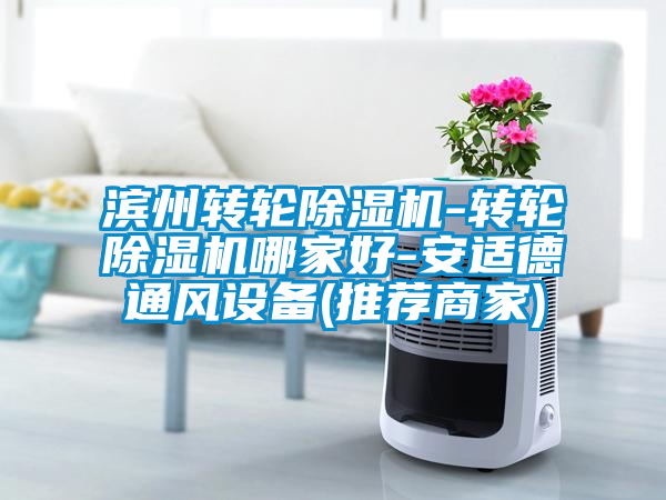 濱州轉(zhuǎn)輪除濕機-轉(zhuǎn)輪除濕機哪家好-安適德通風(fēng)設(shè)備(推薦商家)