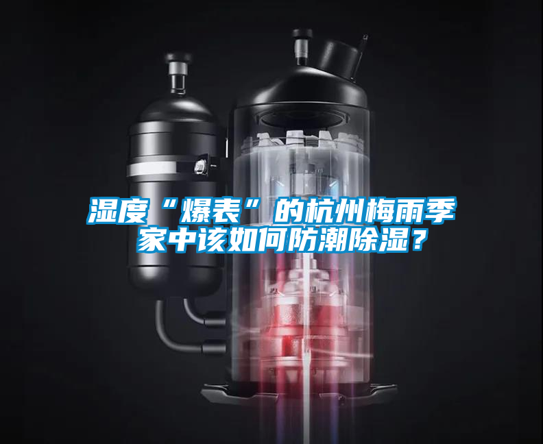 濕度“爆表”的杭州梅雨季 家中該如何防潮除濕？