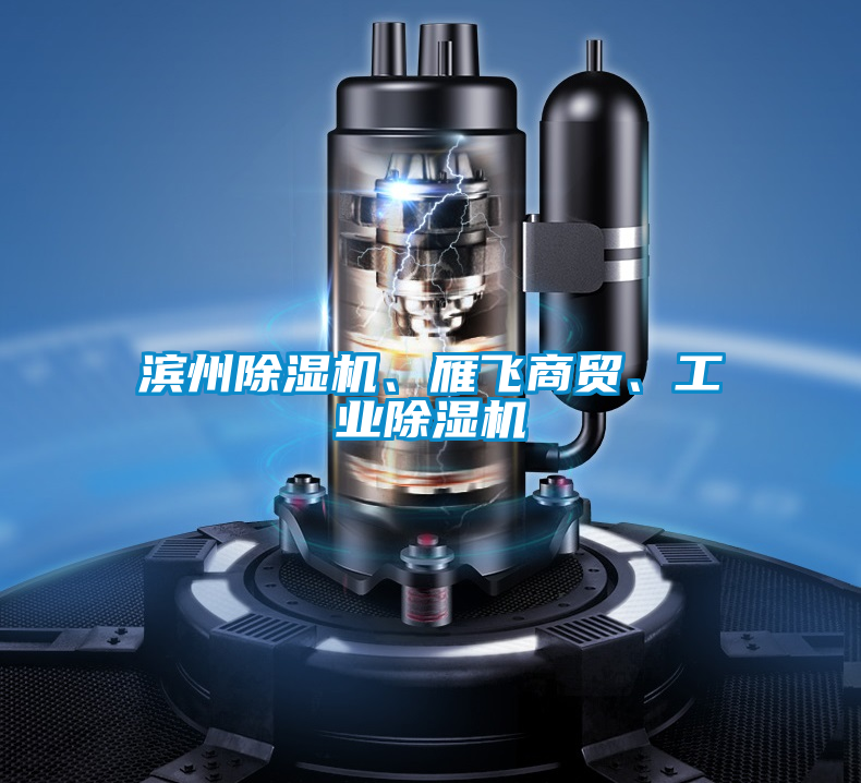 濱州除濕機、雁飛商貿(mào)、工業(yè)除濕機
