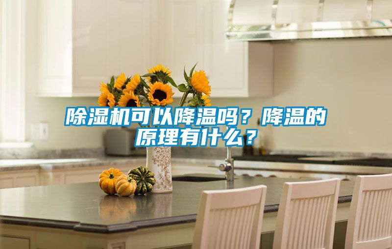 除濕機可以降溫嗎？降溫的原理有什么？