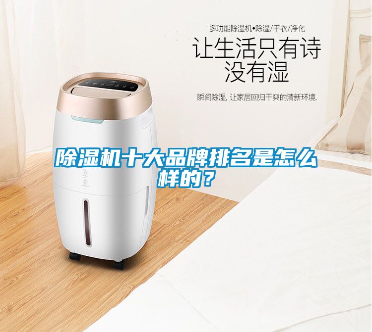 除濕機十大品牌排名是怎么樣的？
