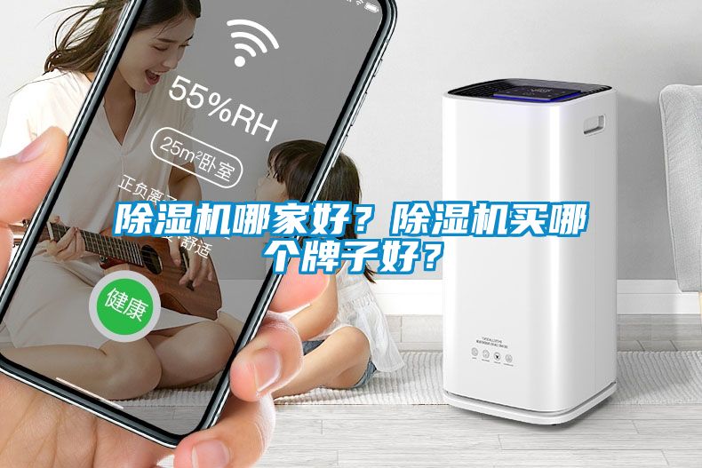 除濕機哪家好？除濕機買哪個牌子好？