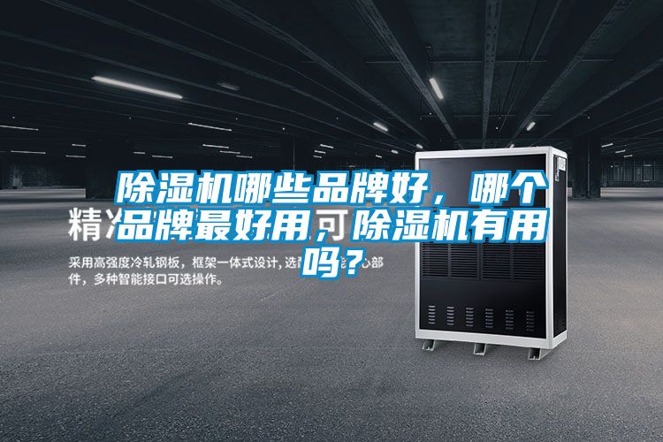 除濕機(jī)哪些品牌好，哪個(gè)品牌最好用，除濕機(jī)有用嗎？