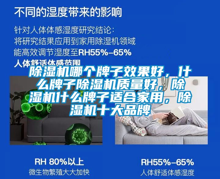 除濕機(jī)哪個(gè)牌子效果好，什么牌子除濕機(jī)質(zhì)量好，除濕機(jī)什么牌子適合家用，除濕機(jī)十大品牌