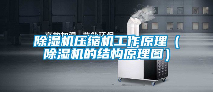 除濕機(jī)壓縮機(jī)工作原理（除濕機(jī)的結(jié)構(gòu)原理圖）