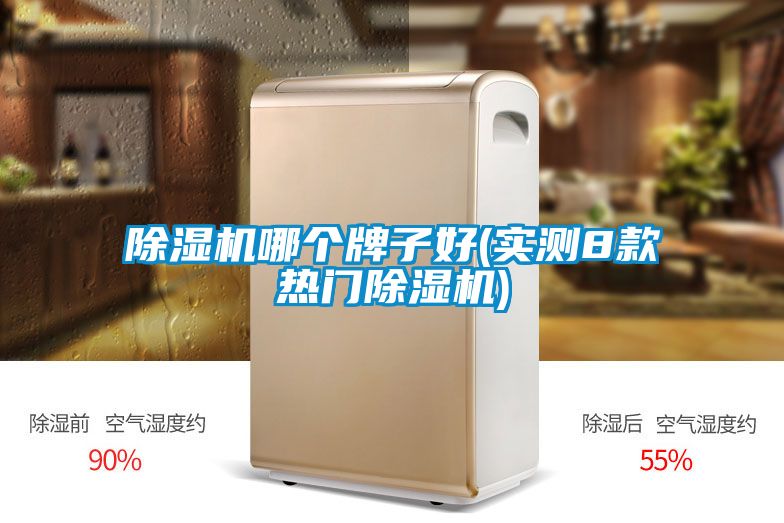 除濕機(jī)哪個(gè)牌子好(實(shí)測(cè)8款熱門(mén)除濕機(jī))