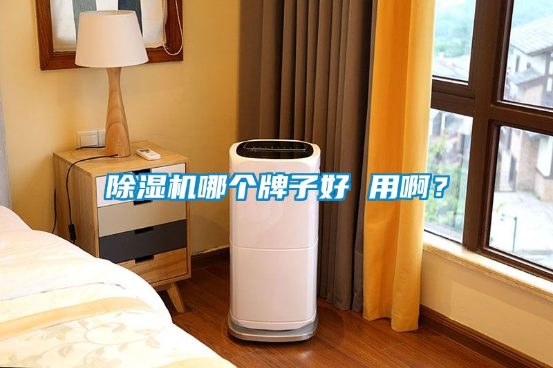 除濕機(jī)哪個(gè)牌子好 用?。?></div>
								<div   id=