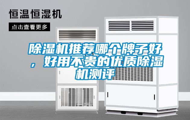 除濕機(jī)推薦哪個(gè)牌子好，好用不貴的優(yōu)質(zhì)除濕機(jī)測(cè)評(píng)