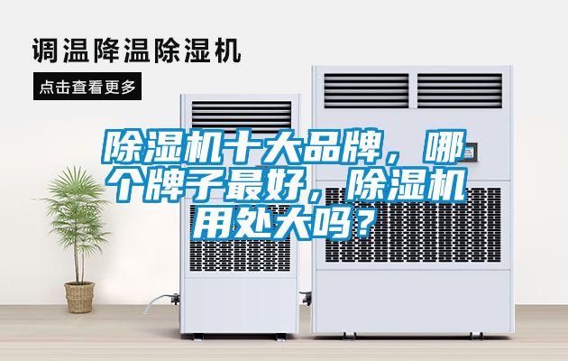 除濕機十大品牌，哪個牌子最好，除濕機用處大嗎？