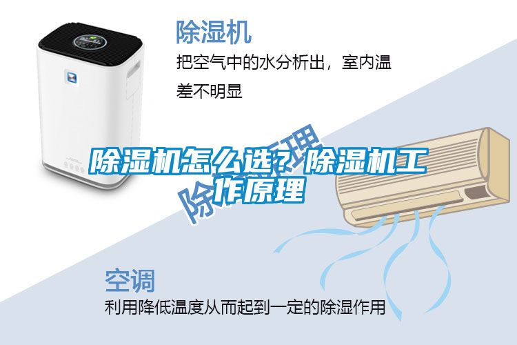 除濕機(jī)怎么選？除濕機(jī)工作原理