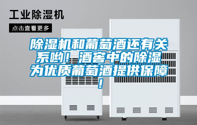 除濕機(jī)和葡萄酒還有關(guān)系喲！酒窖中的除濕為優(yōu)質(zhì)葡萄酒提供保障！
