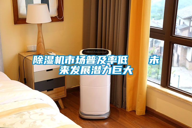 除濕機市場普及率低   未來發(fā)展?jié)摿薮?></div>
								<div   id=
