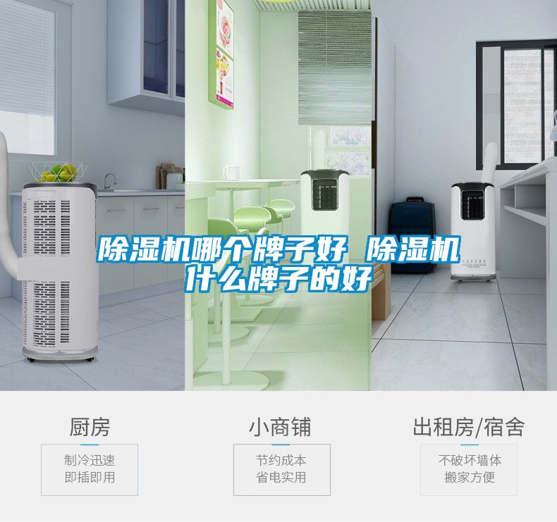 除濕機(jī)哪個(gè)牌子好 除濕機(jī)什么牌子的好