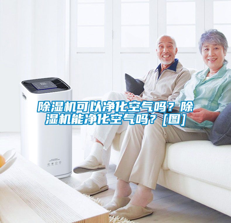 除濕機(jī)可以凈化空氣嗎？除濕機(jī)能凈化空氣嗎？[圖]