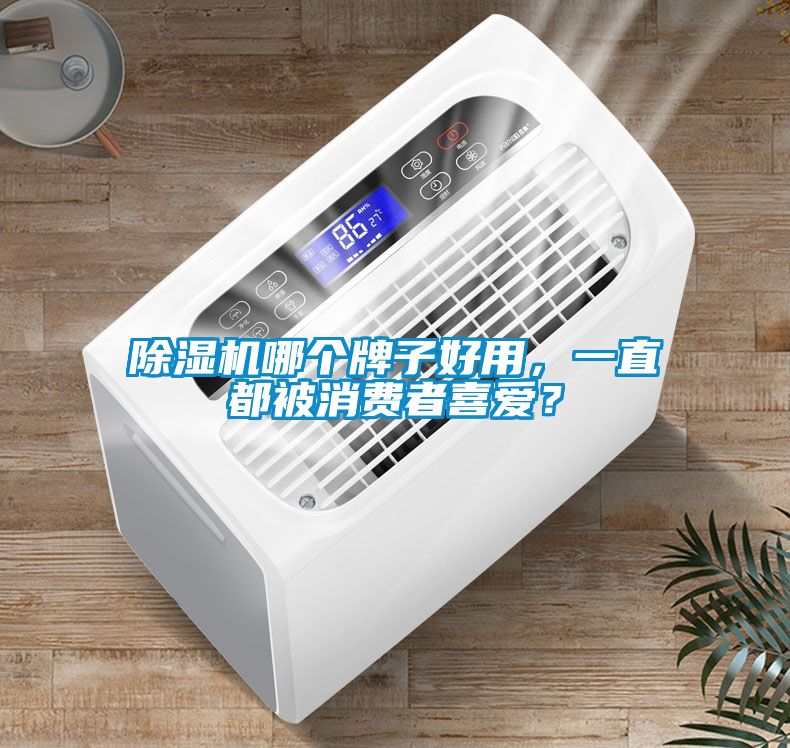 除濕機(jī)哪個(gè)牌子好用，一直都被消費(fèi)者喜愛(ài)？