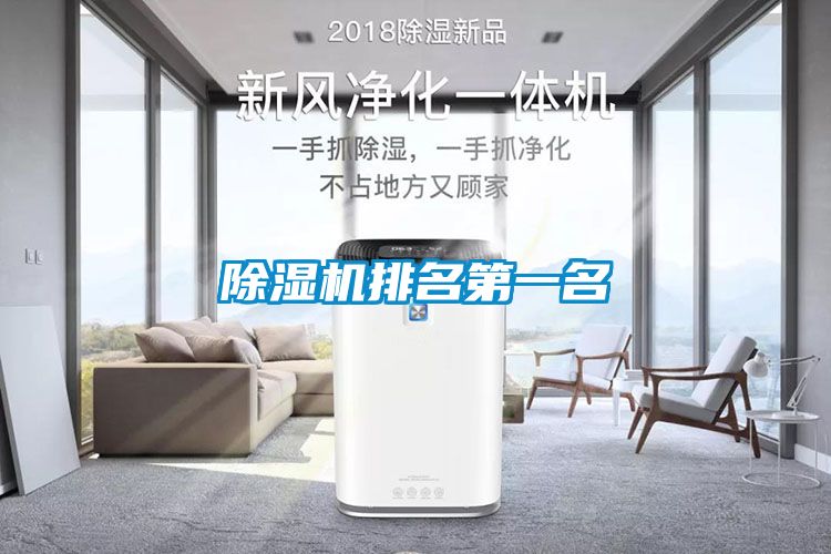 除濕機排名第一名